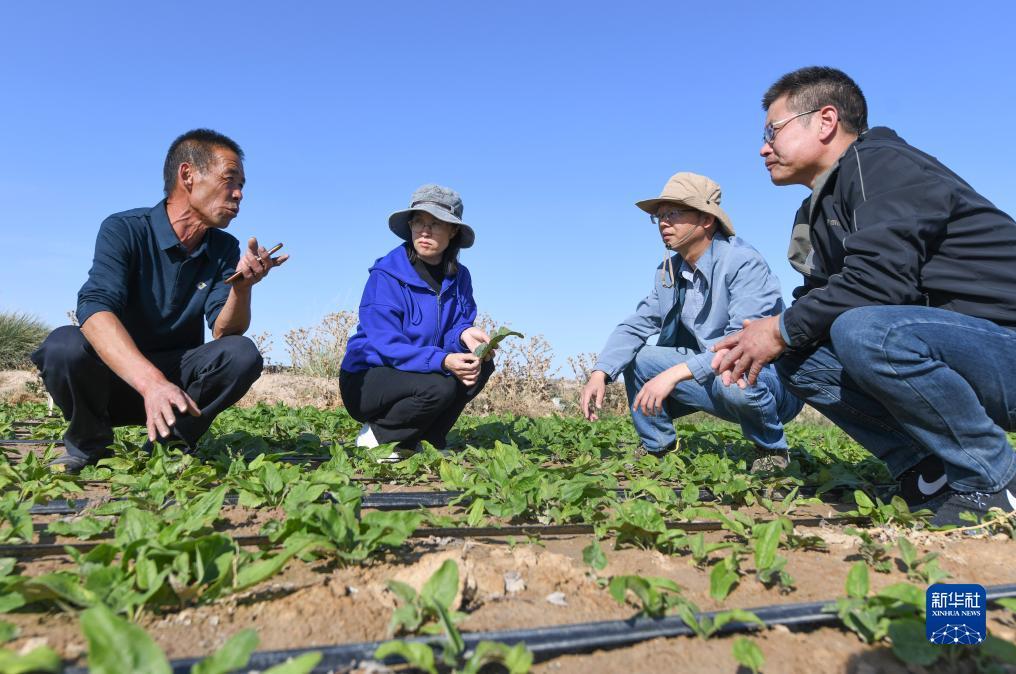 捕鱼大师官网